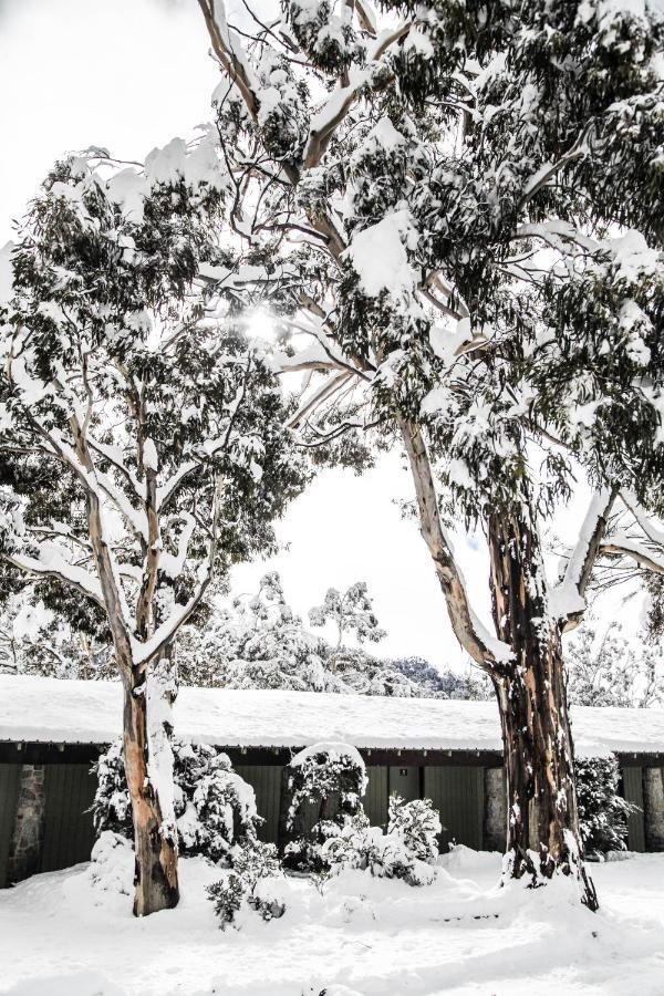 Rider 2* Perisher Valley